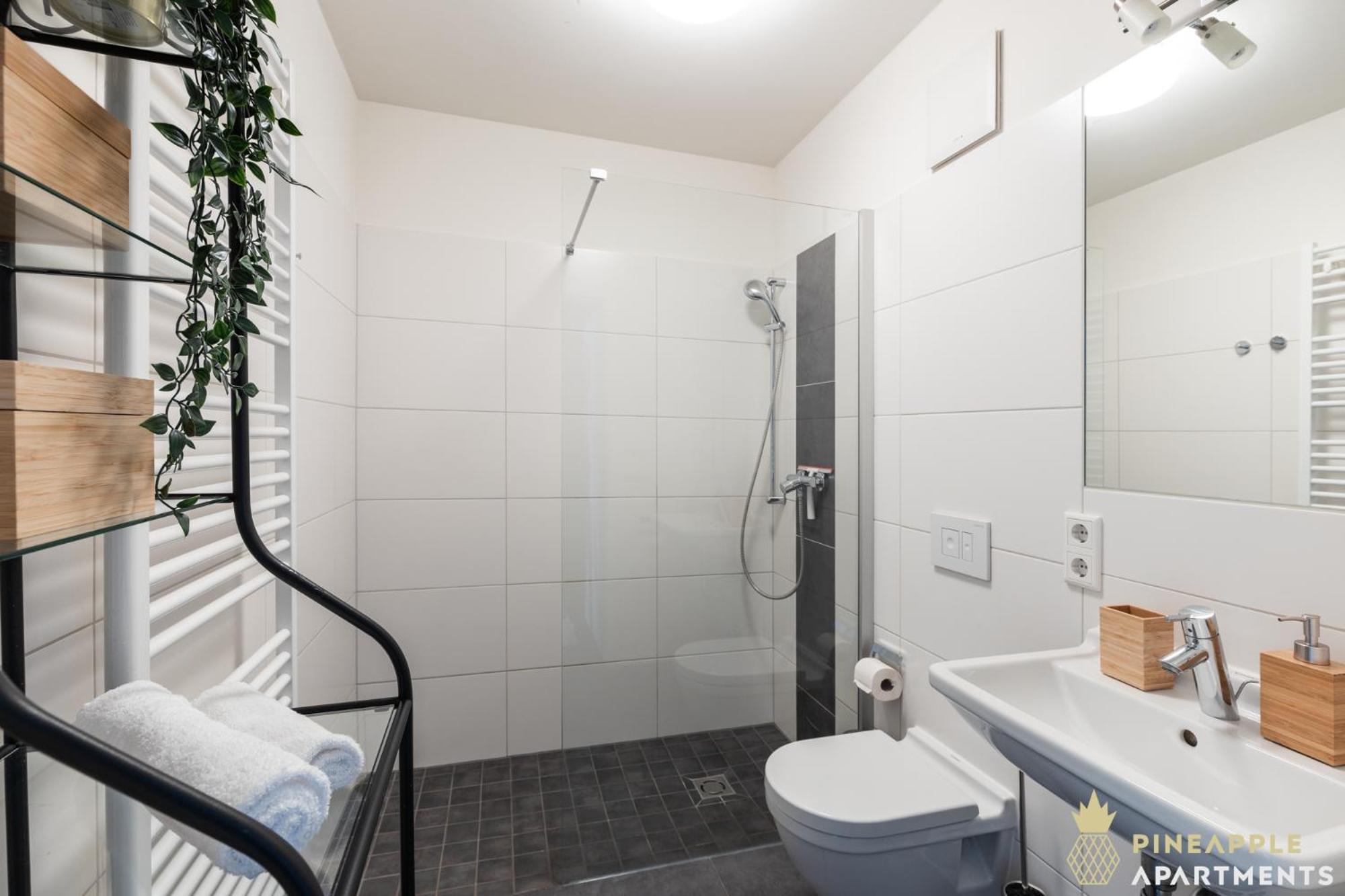 Pineapple Apartments Studio-Apartment Am Zwinger Дрезден Екстериор снимка
